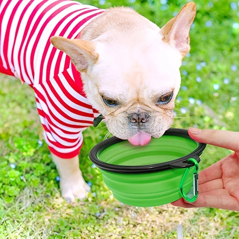 Collapsible Pet Bowl 350ml – Portable Silicone Travel Bowl for Dogs & Cats