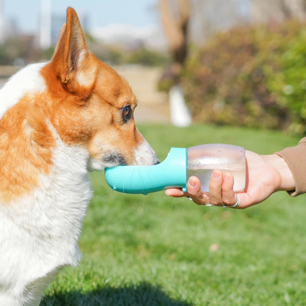 Portable Pet Water Bottle 300ml – Leakproof Travel Drinking Bottle for Dogs & Cats