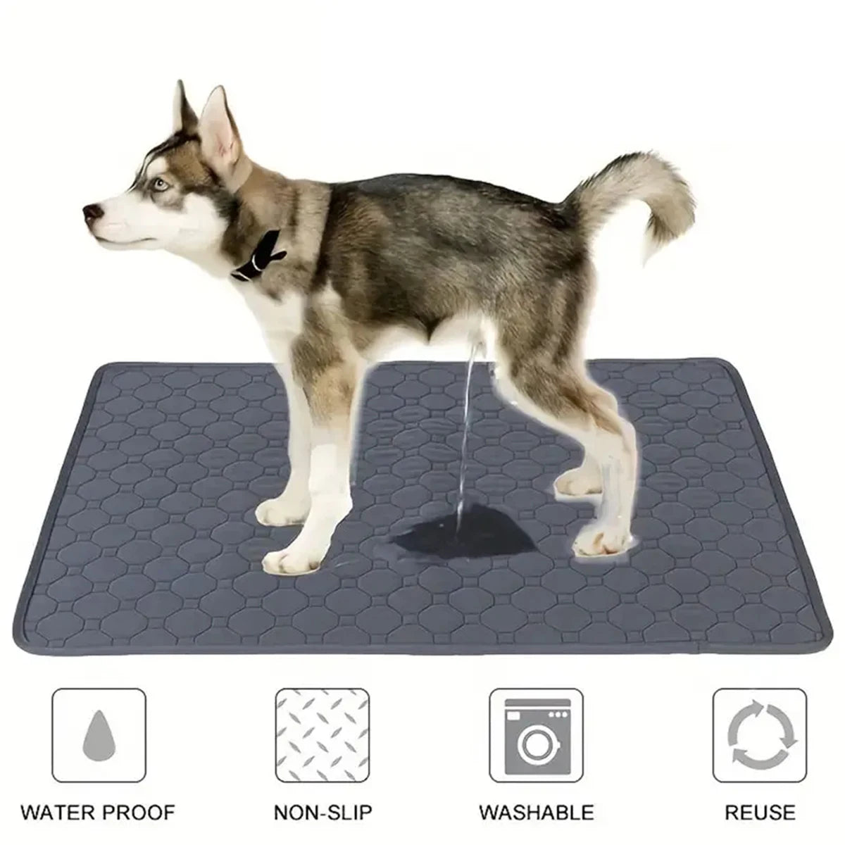 Reusable Dog Pee Pad – Washable Waterproof Training Mat for Puppies & Cats