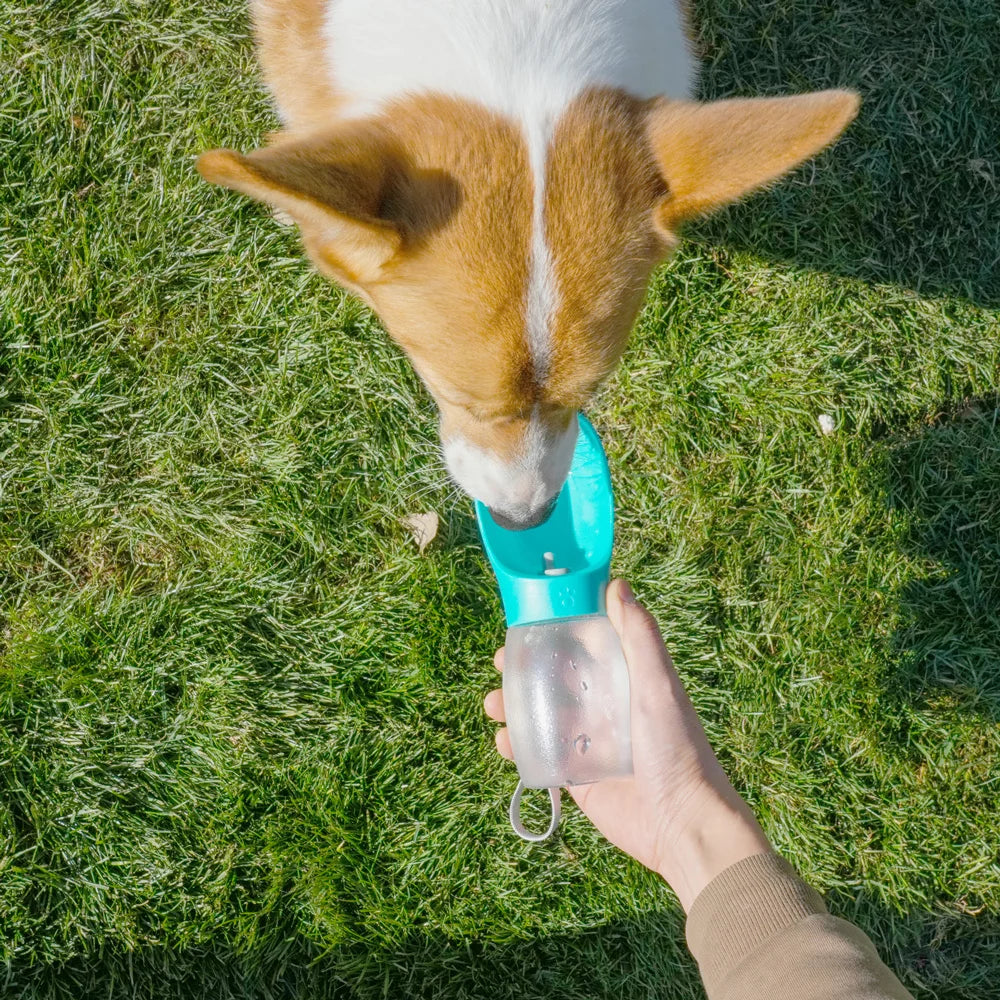 Portable Pet Water Bottle 300ml – Leakproof Travel Drinking Bottle for Dogs & Cats