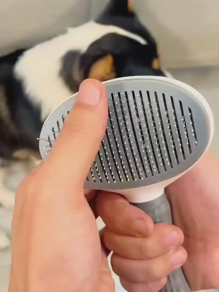 Self-Cleaning Pet Grooming Brush